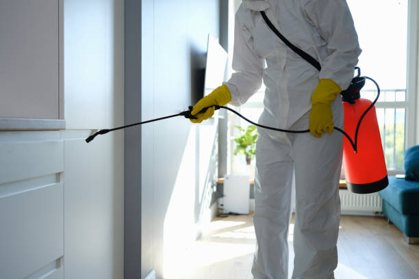 Professional Mold Removal in Thompson, ND